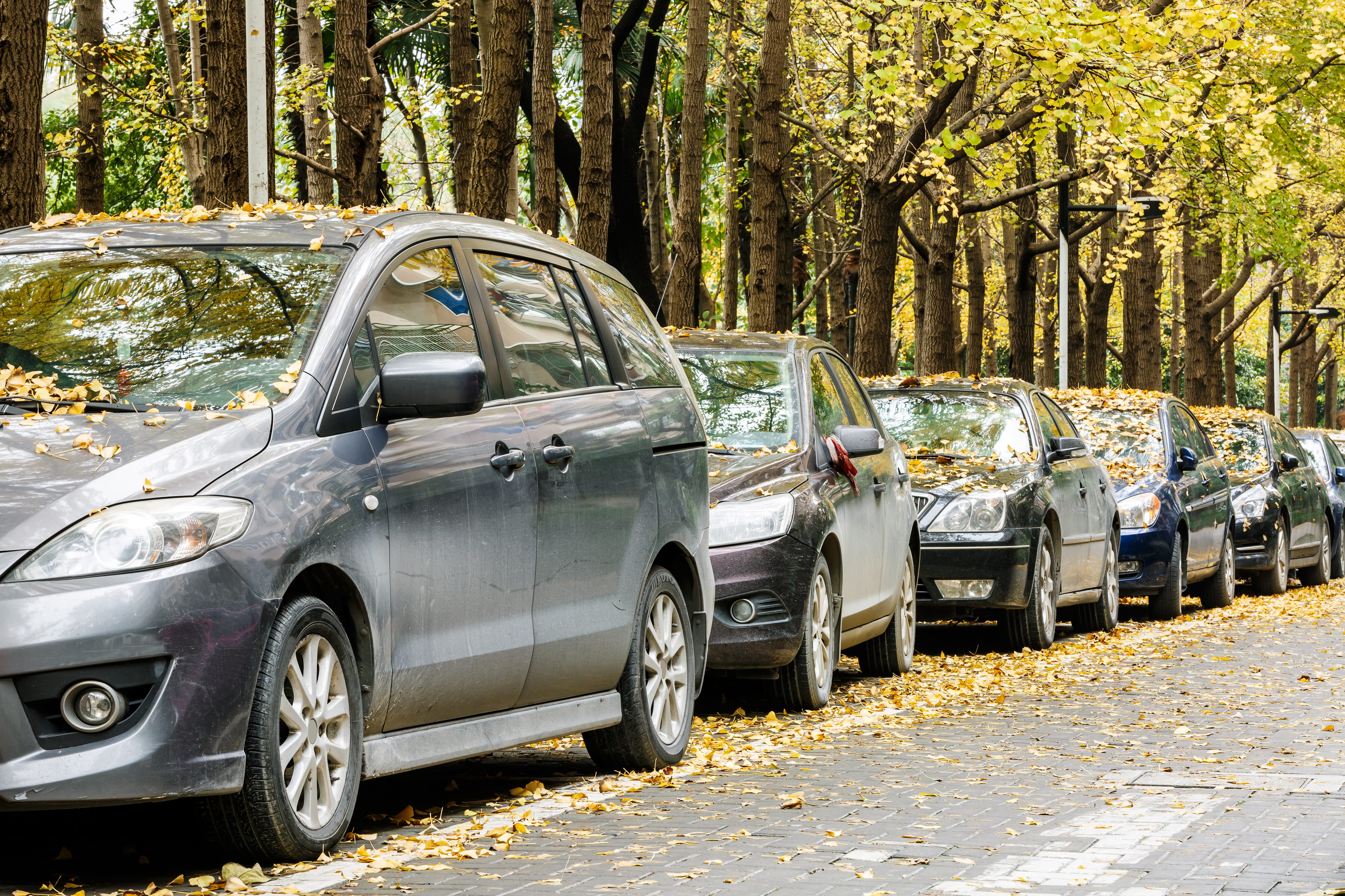 Vehicles parallel parked on a street